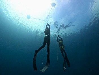 Renssant Freedive